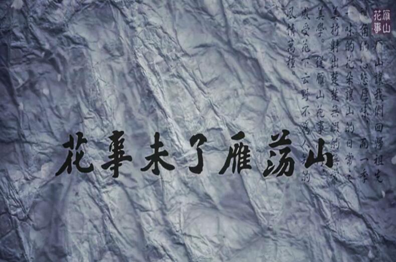 花見の季節はまだ続く　雁荡山